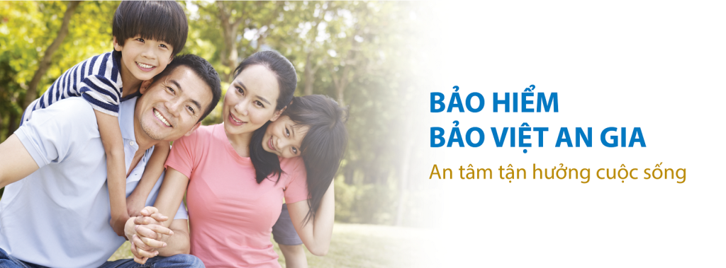 TCT Bảo Hiểm Bảo Việt